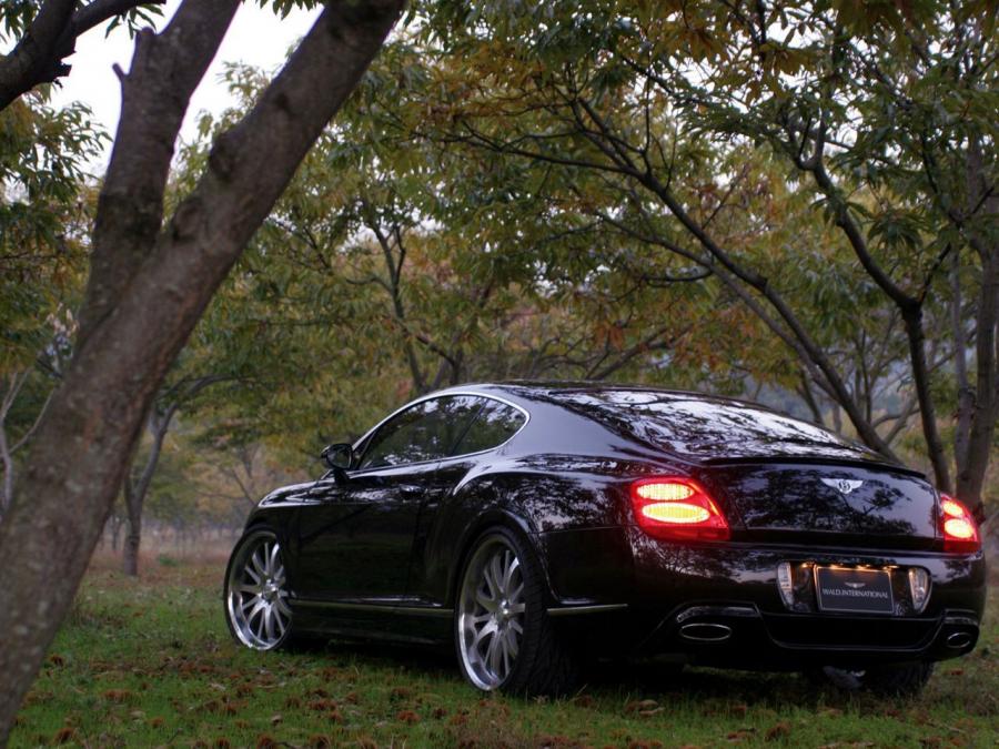 Bentley Continental GT by Wald 2006 года  (фото 3 из 4)